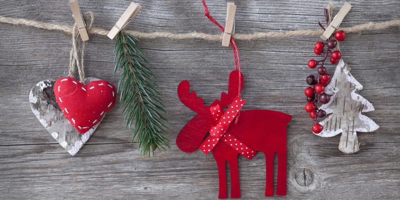 Surviving the Festive Season Single