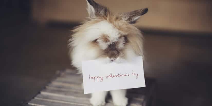 12 Unconventional Valentine’s Day Dates