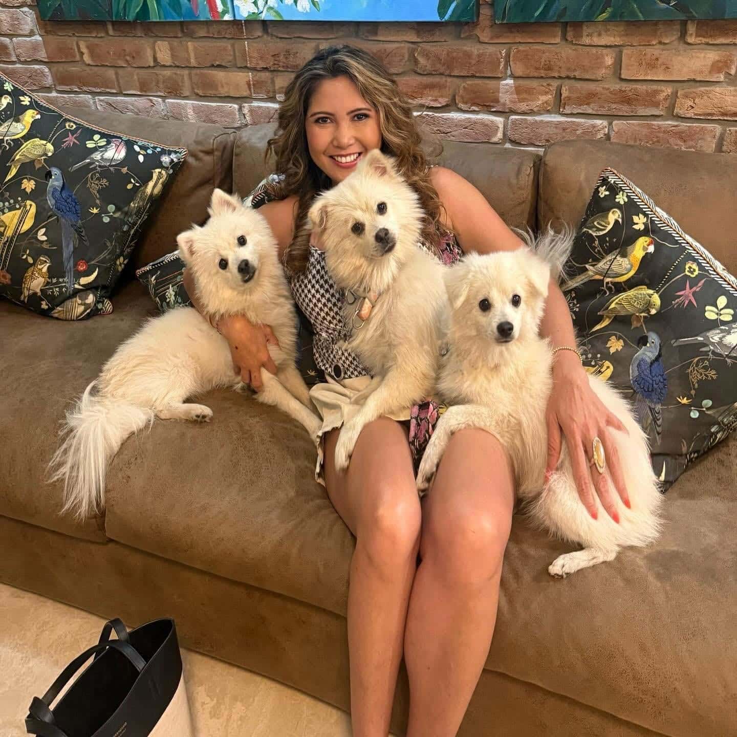 A smiling woman sits on a brown couch with three fluffy white dogs on her lap and beside her. Two decorative pillows with bird designs and a painting hang on the brick wall behind her.